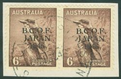 SG J4a: BCOF 6d Kookaburra