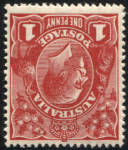 ACSC 71Pa: KGV