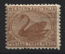 WESTERN AUSTRALIA SG 141: 1906