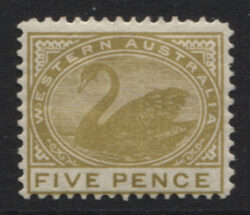 WESTERN AUSTRALIA SG 143: 1905