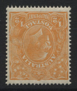 SG 85w: KGV