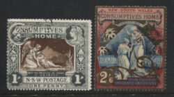 NEW SOUTH WALES SG 280-281: 1897