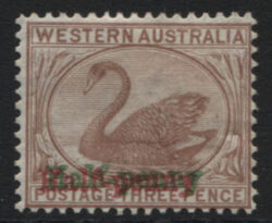 WESTERN AUSTRALIA SG 111a: 1893