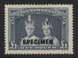 SG 178s/ACSC 216Ax: 1938