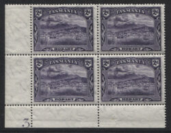 TASMANIA SG 231: 1899