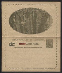 ACSC LC 31: 1917