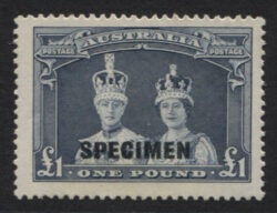 SG 178s: 1938