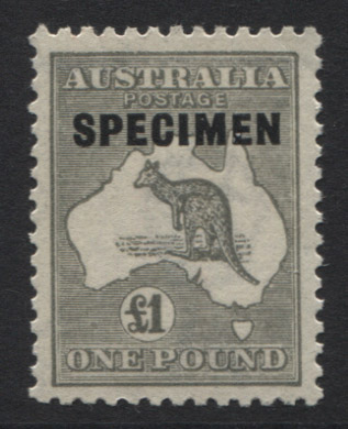 44553