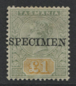 TASMANIA SG 225s: 1897